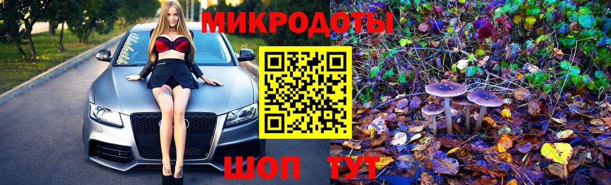 Вольск  Псилоцибиновые грибы Cubensis  хочу наркоту  Вход с VPN 