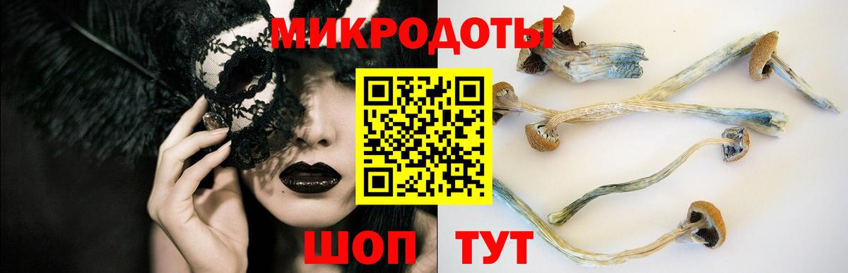Галлюциногенные грибы ЛСД Вольск